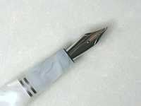 Artic-Shimmer with smooth nib-1